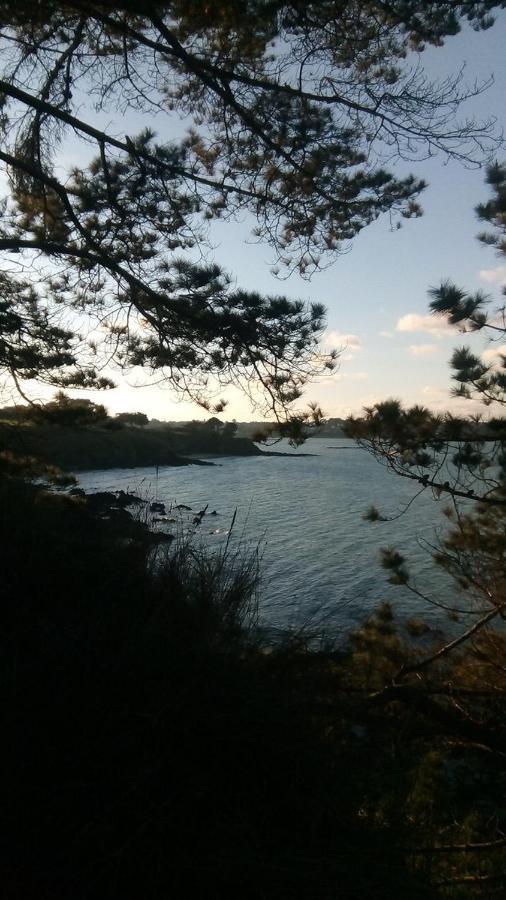 Tente 3 Chambres, Petit Camping Familial Vue Mer Plestin-les-Grèves Exteriér fotografie